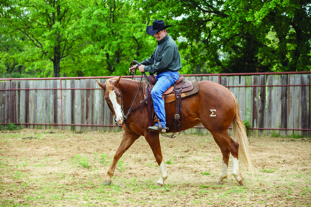 ranch riding downward transition