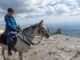 Horse and rider on a mountain on an Enchantment Equitreks riding adventure