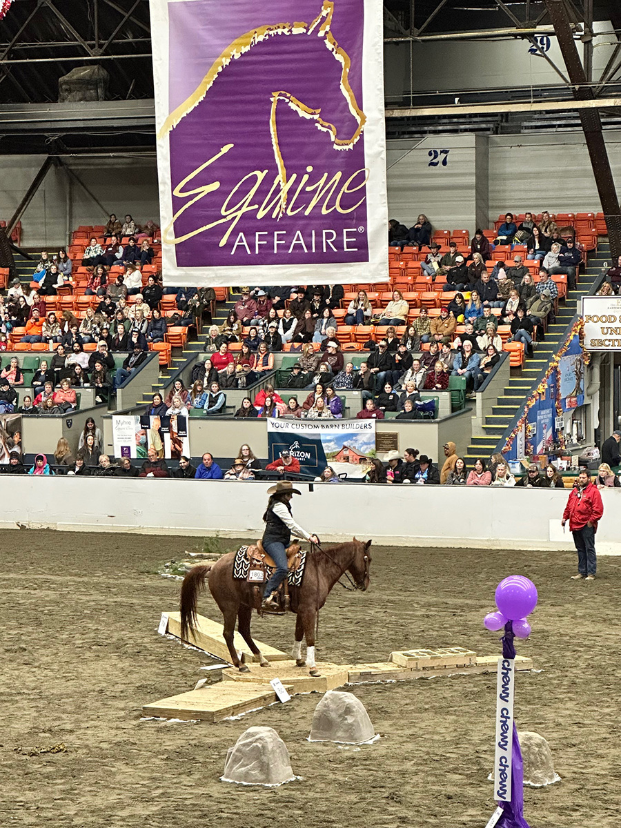 The arena at Equine Affaire November 2025 in West Springfield, Mass.