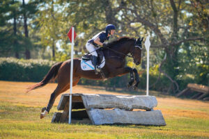 Thoroughbred Horses Find a Second Calling