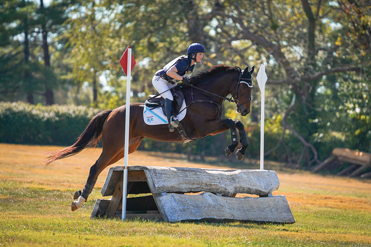 Thoroughbred Horses Find a Second Calling Hoofpick Life Equestrian