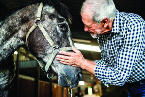 Vet Adventures: When a Horse Favors a Leg