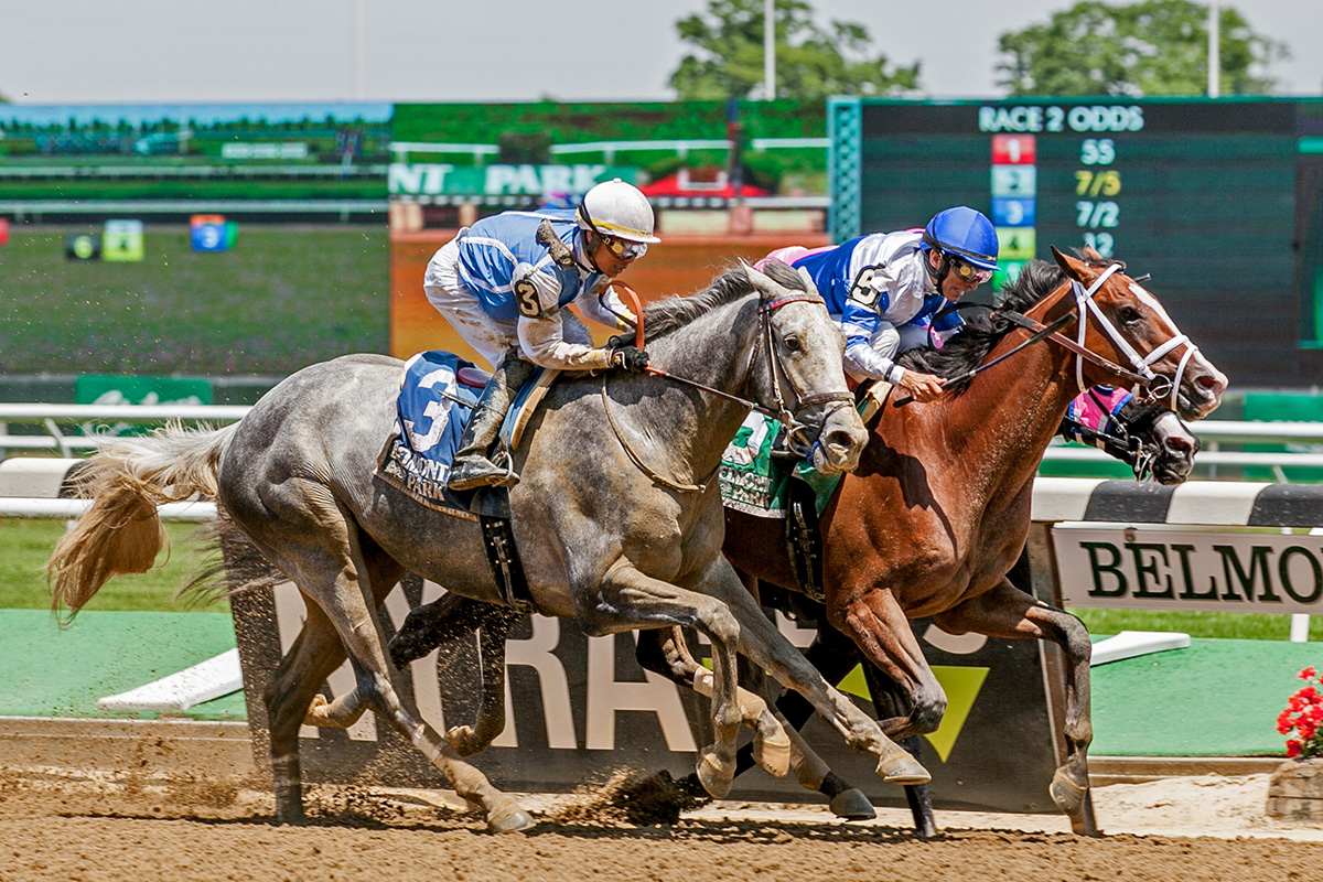 A horse race at Belmont Park. President Joe Biden inked the last of five animal protection measures into law in the year-end spending bill to fund the Federal Government for FY2023.  On Dec. 29, 2022, the President enacted landmark legislation to end animal testing mandates and horse doping in the U.S.