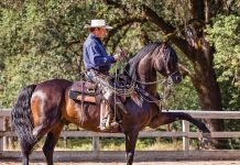 Better than Fiction: The Founder of Cowboy Dressage
