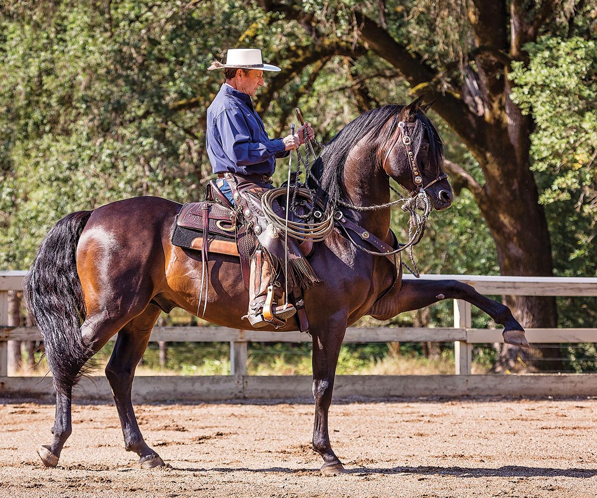 founder of cowboy dressage