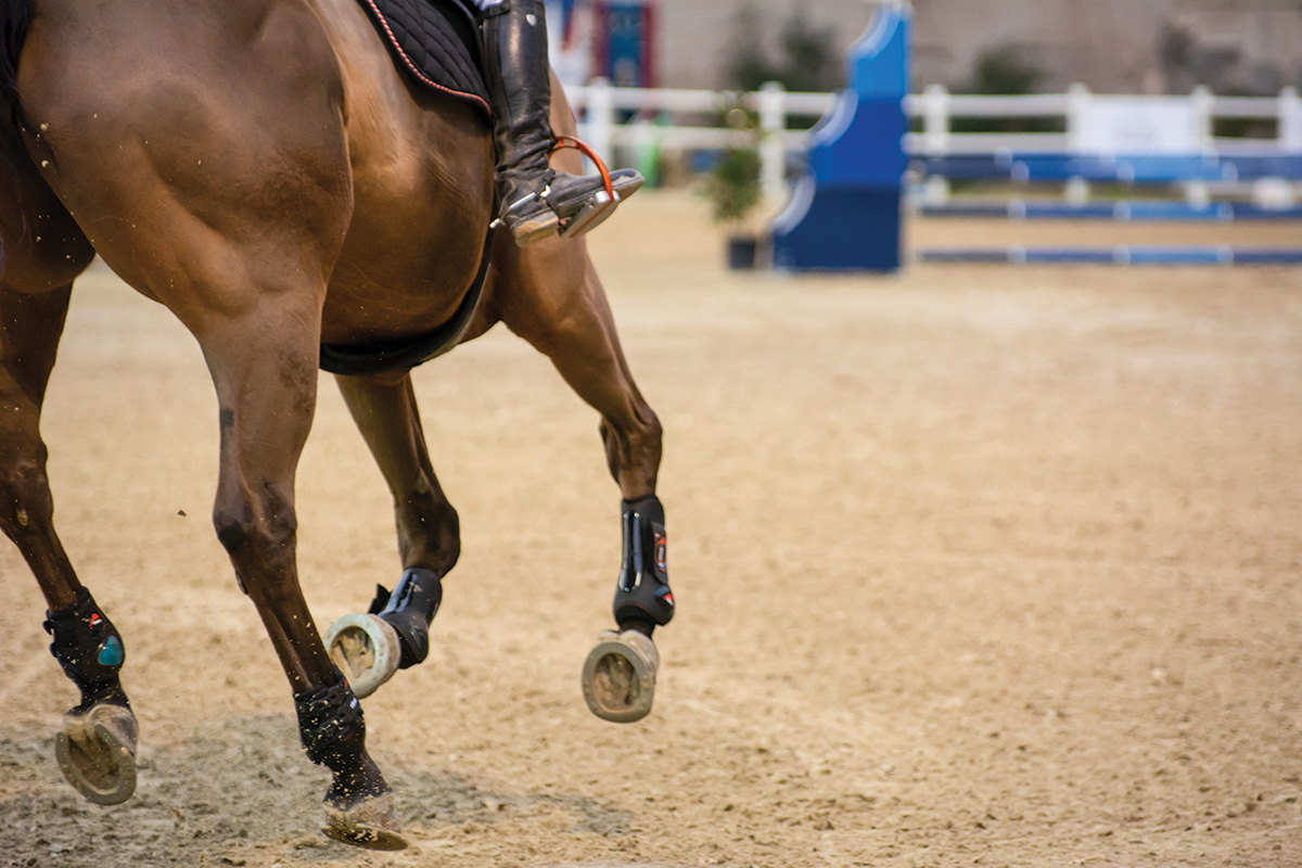 A close-up of a horse's legs in a jumping ring. This article focuses on eye-opening riding advice.