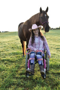 The Journey Horses Can Take Us On