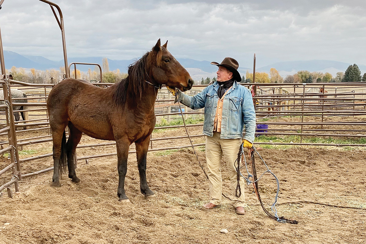 Joe Misner practices his horsemanship skills with a wild horse in his certification program