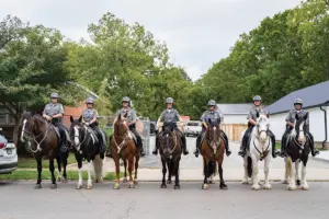 Meet the Kentucky Horse Park Mounted Police