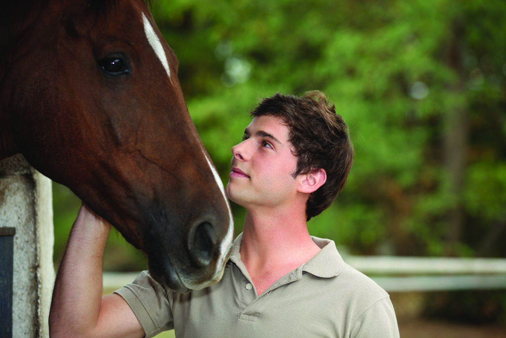 equine-assisted therapy