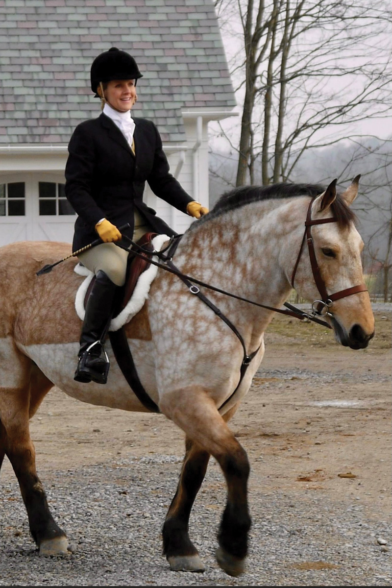 Kimberly Barratt and her brand’s namesake horse, Middleburg (aka “Middy”)