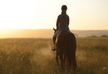An equestrian working on her New Year riding goals.