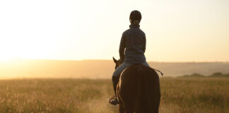 New Year Riding Goals An equestrian working on her New Year riding goals.