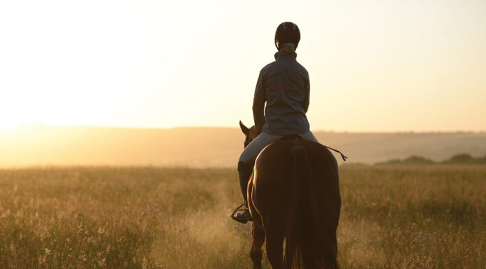 An equestrian working on her New Year riding goals.