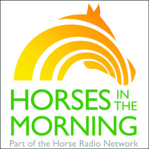 horses in the morning