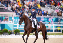 Liz Halliday and Nutcracker score a 28.0 in eventing dressage at the 2024 Paris Olympics