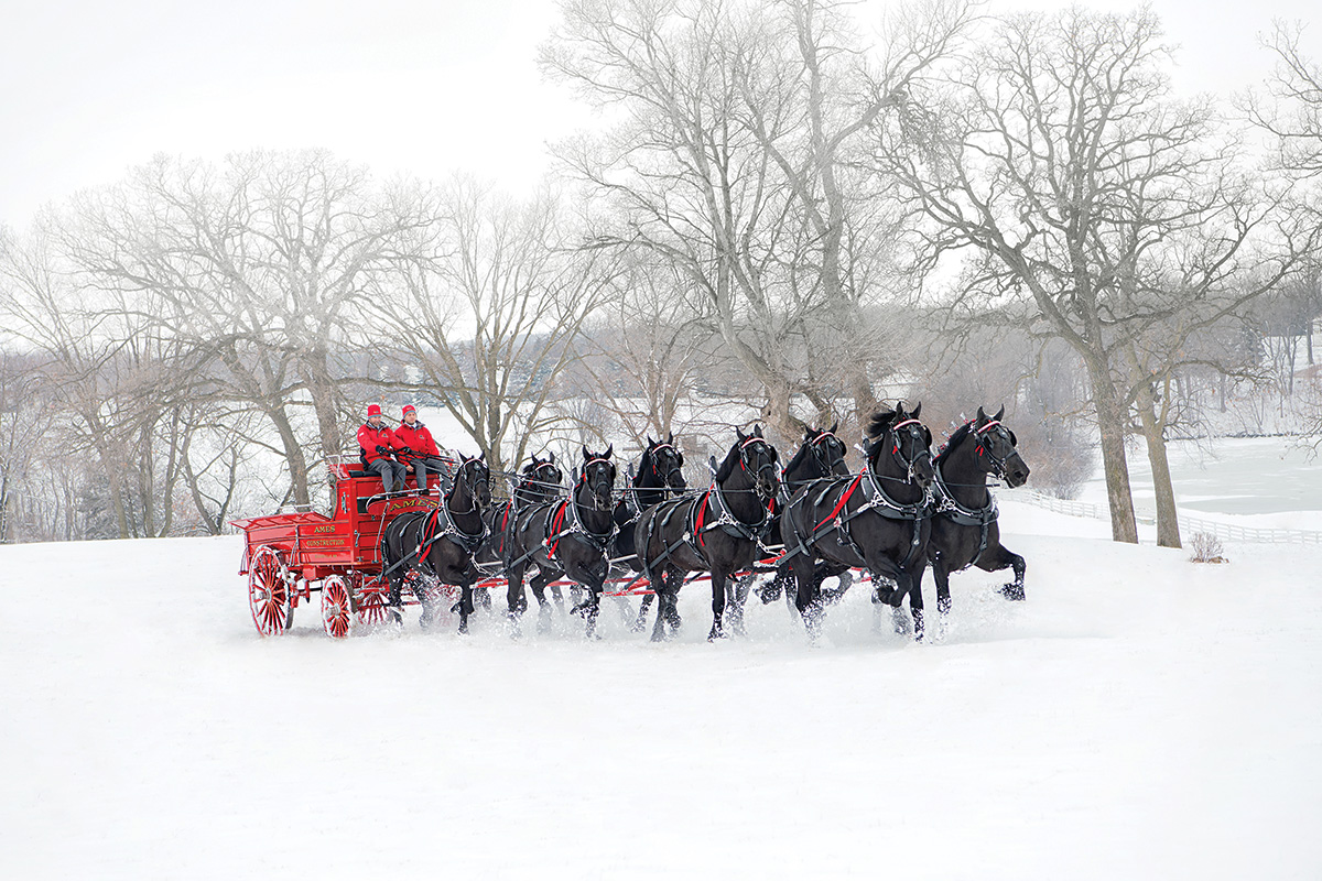 The Ames Percherons pulling a sleigh in the snow.