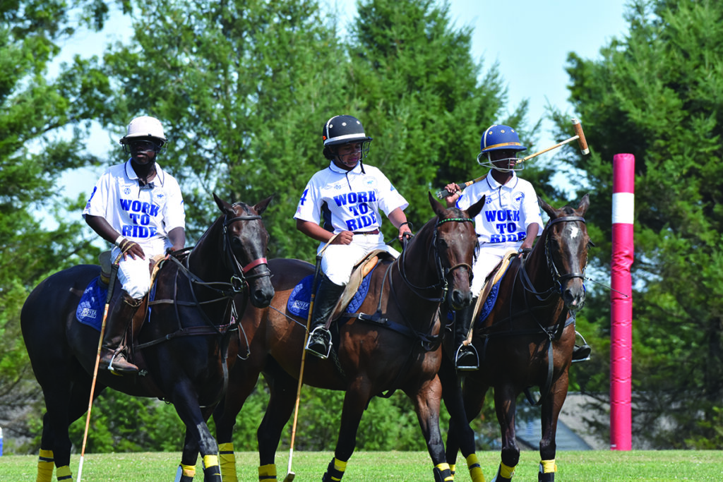 equestrian scholarship program