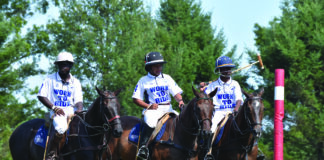 equestrian scholarship program