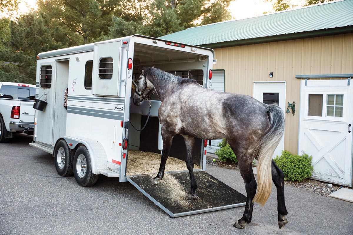 Loading a horse to haul