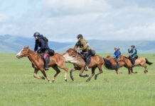 American Wins World’s Toughest Horse Race world toughest horse race
