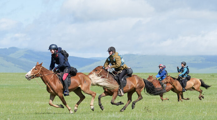 world toughest horse race