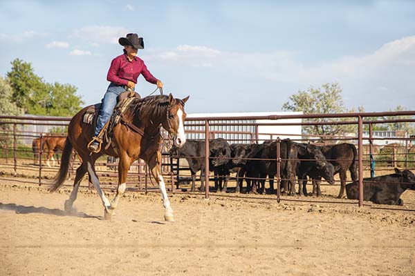 Ranch riding