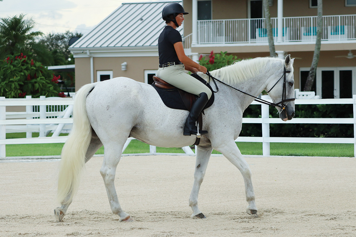 A woman rides a gray horse and gets the horse to relax under saddle 