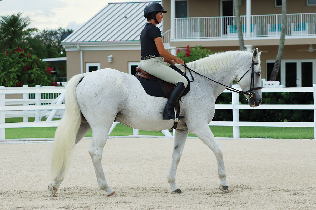 A woman rides a gray horse and gets the horse to relax under saddle