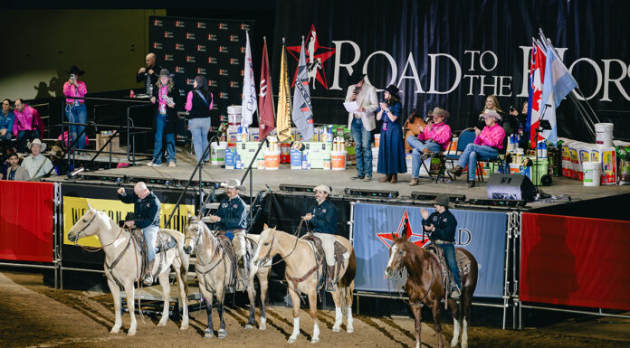 The Road to the Horse 2025 Wild Card competitors.