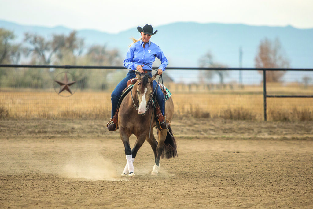 horse reining rundown