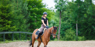 A rider trotting her goals, using SMART Goals to achieve objectives