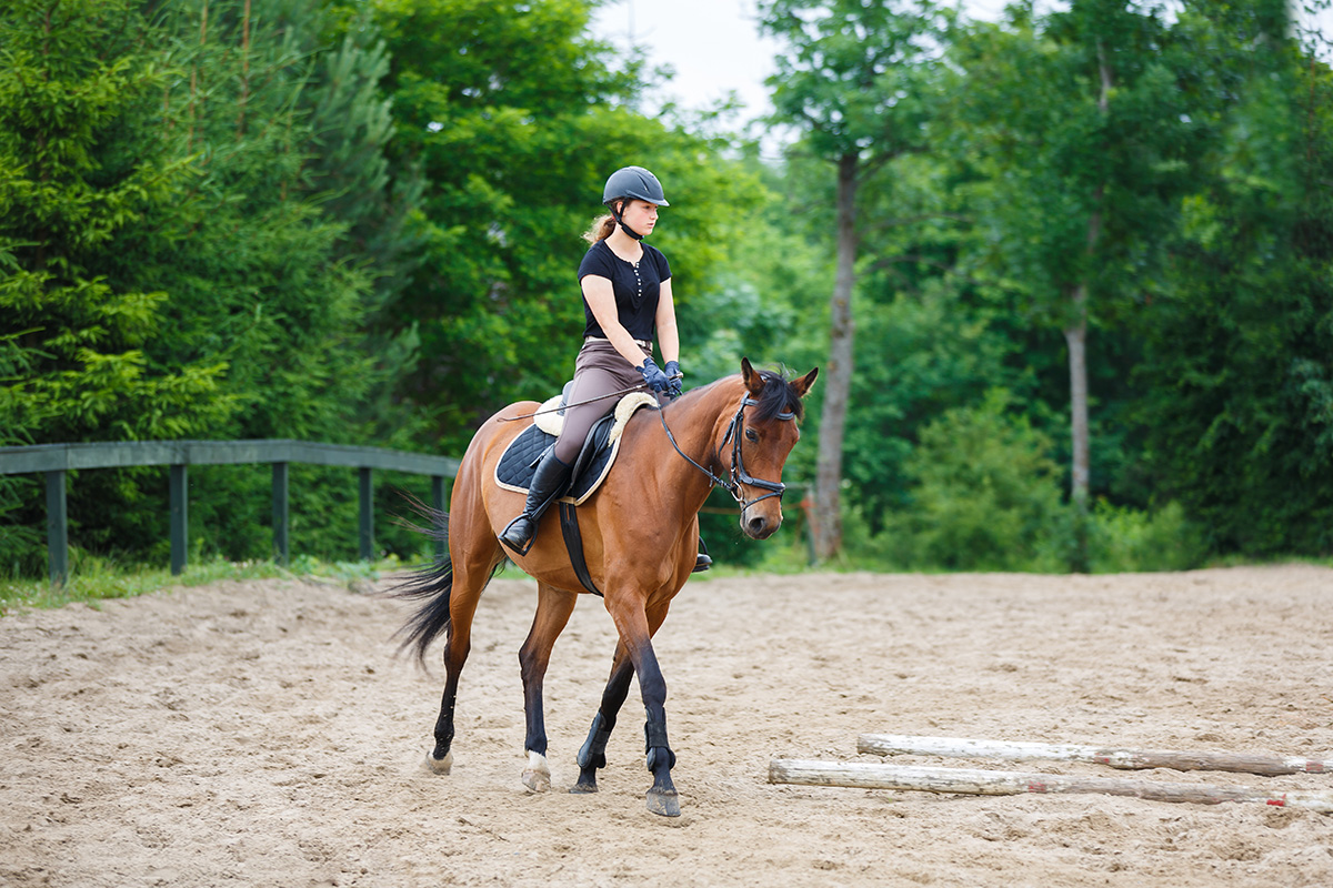 A rider trotting her goals, using SMART Goals to achieve objectives