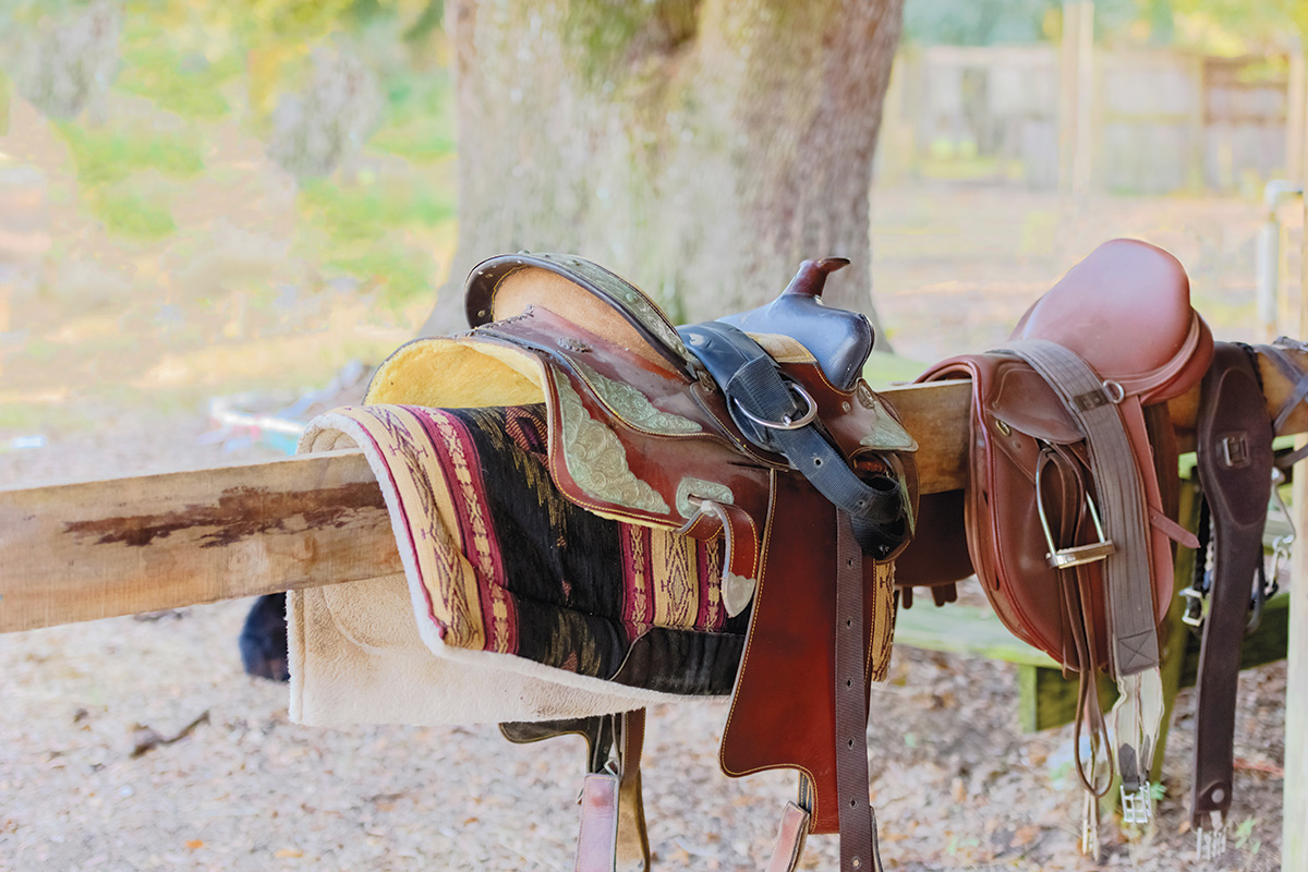 Western and English saddles for changing disciplines