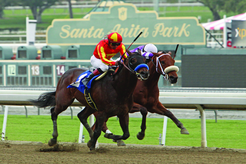 horse racing at santa anita