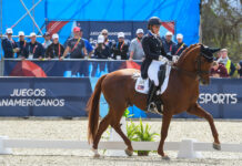 Three U.S. Riders Qualify for Santiago 2023 Pan American Games Dressage Freestyle – Watch Live or On Demand Freestyle dressage at the Pan American Games