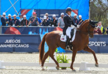 Freestyle dressage at the Pan American Games