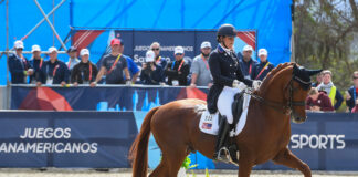 Freestyle dressage at the Pan American Games