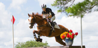 An equestrian jumps a horse over a cross country fence