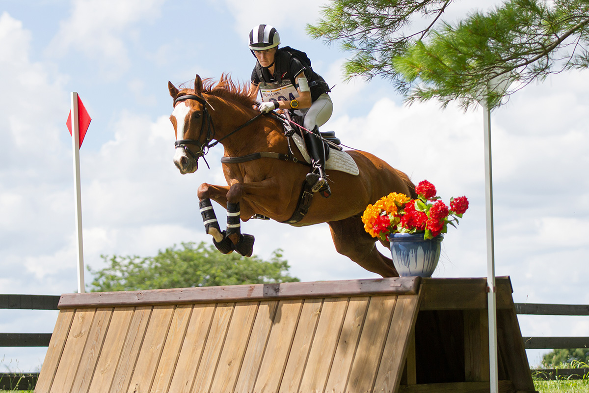 An equestrian jumps a horse over a cross country fence