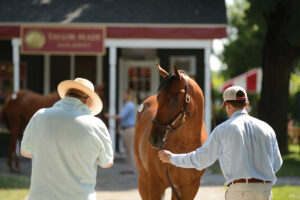 The Taylor Made School of Horsemanship Aids in Recovery