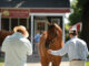 Buyer inspects a horse at a Thoroughbred yearling sale