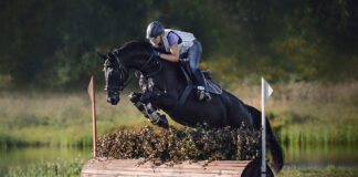 A Thoroughbred eventing