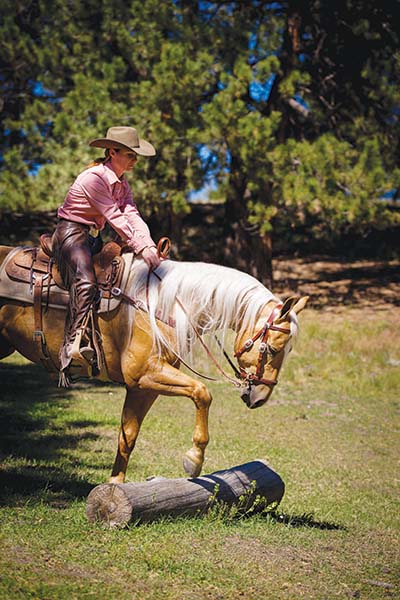 bitless bridle