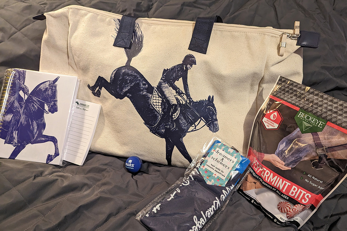 A goodie bag of horse-related gifts