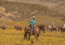 Visit the V6 Ranch The V6 Ranch in California.