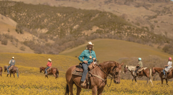 The V6 Ranch in California.