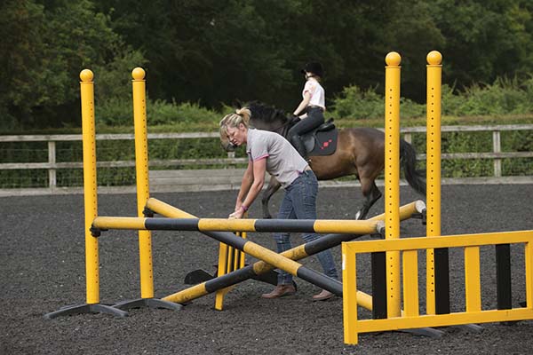 setting jump rails for Vet Adventures column on Veterinarian Time