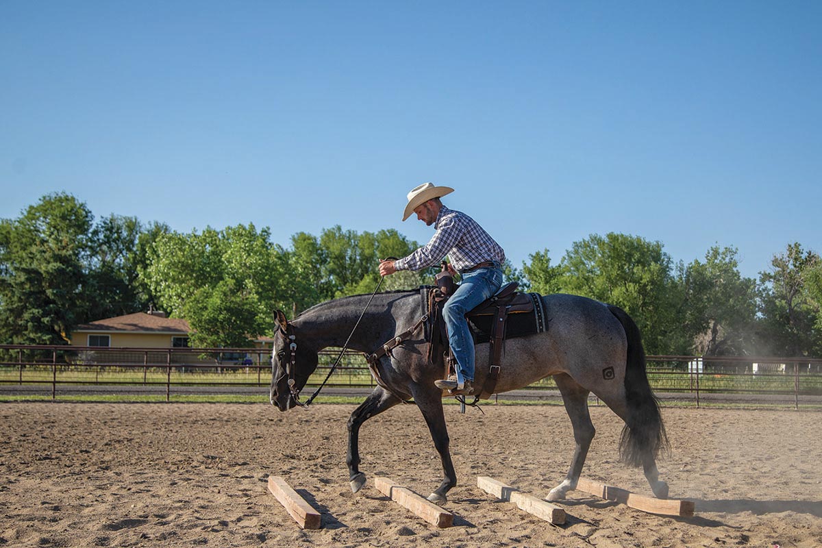 riding over logs