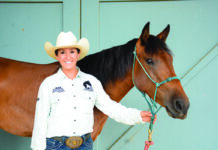 extreme mustang makeover